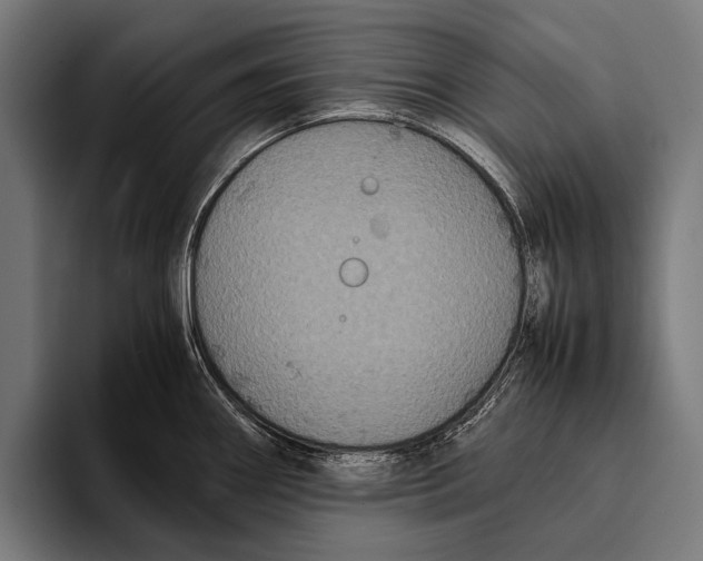 X0000093371290200711081517