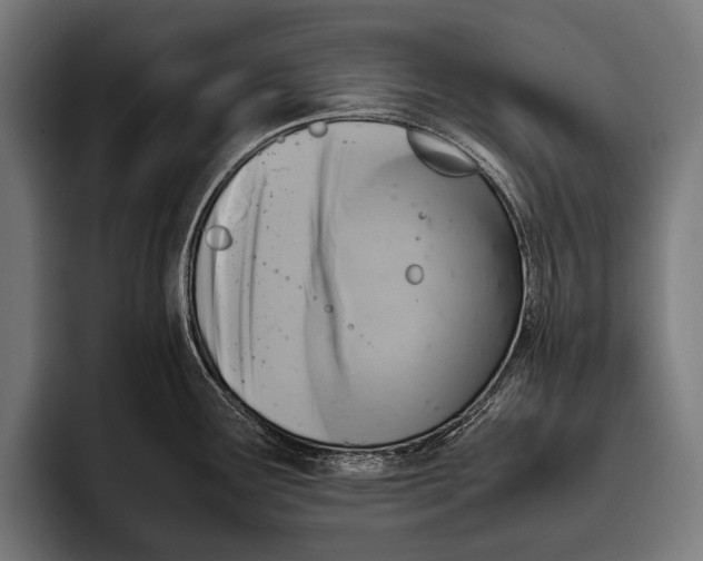 X0000093371291200711081517