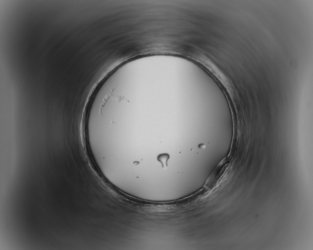 X0000093371293200711081517