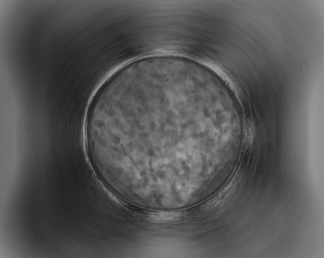 X0000093371294200711081517