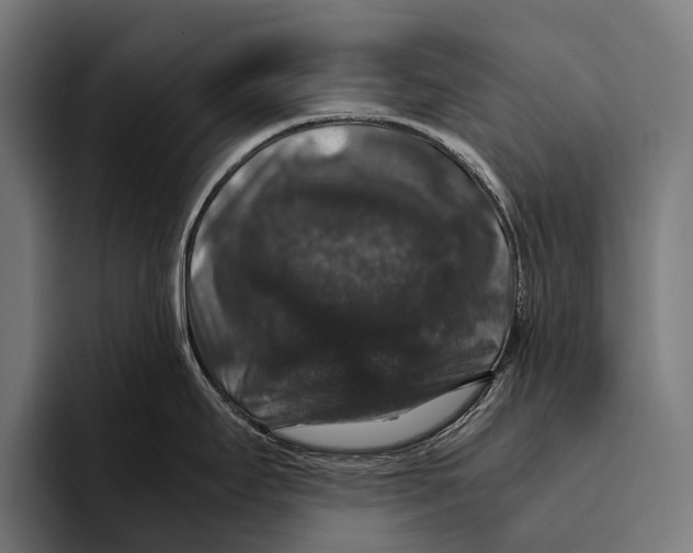 X0000093371295200711081517