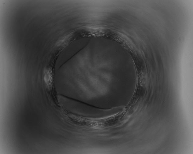 X0000093371298200711081516
