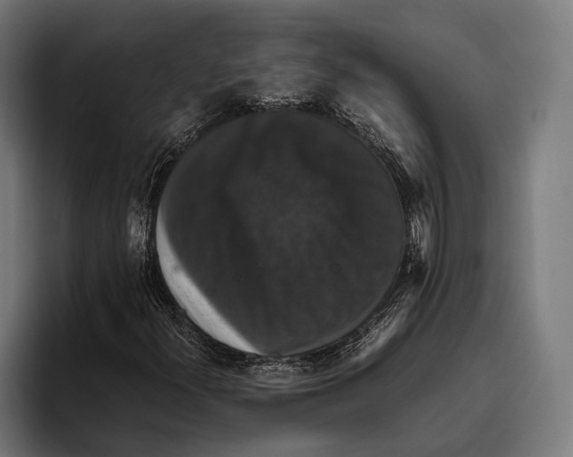X0000093371300200711081516