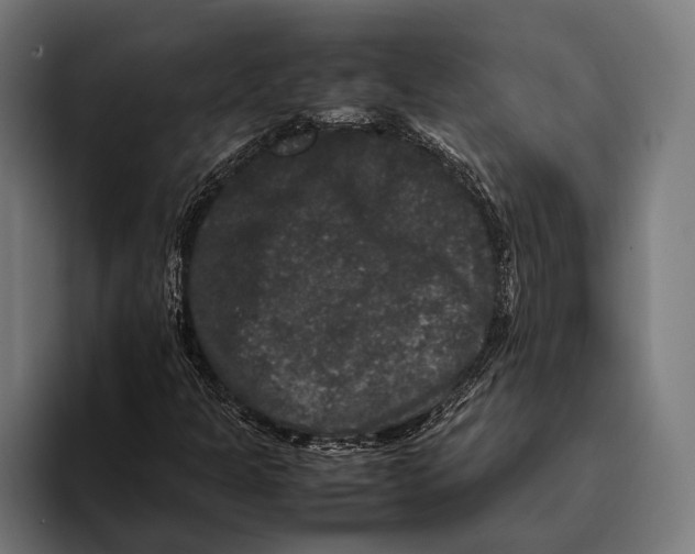 X0000093371301200711081516