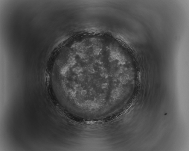 X0000093371302200711081516