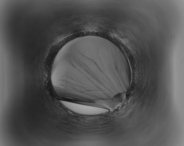 X0000093371303200711081516