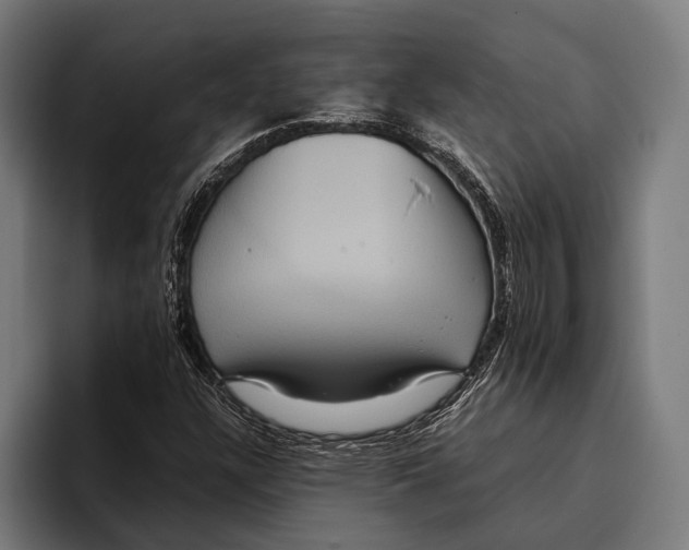 X0000093371304200711081517
