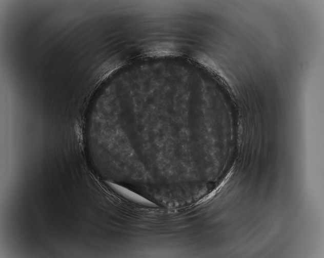 X0000093371305200711081517