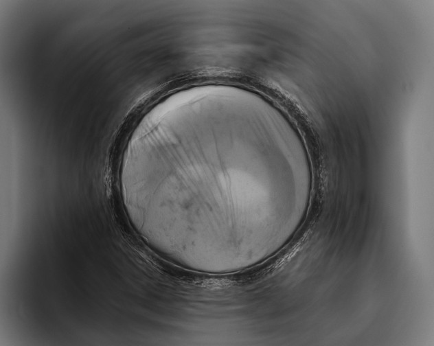X0000093371306200711081517