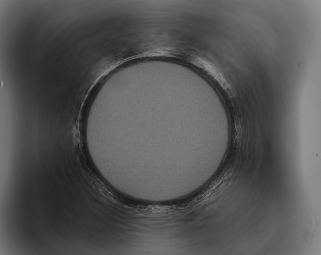 X0000093371308200711081517