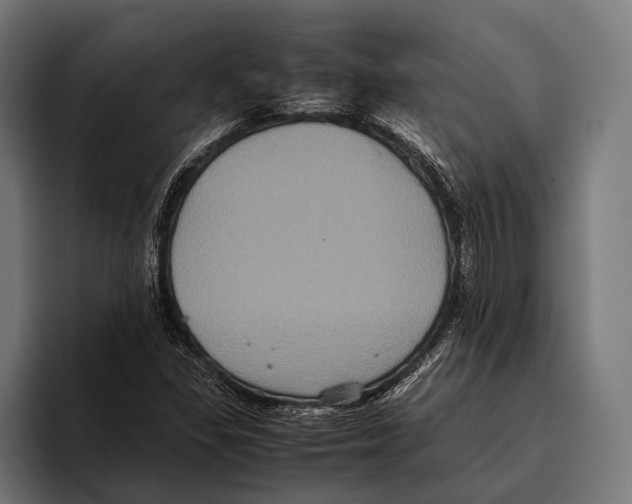 X0000093371309200711081517
