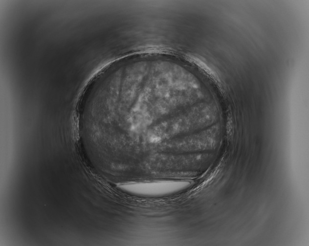 X0000093371310200711081517