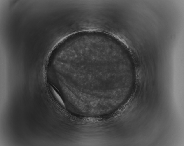 X0000093371311200711081517