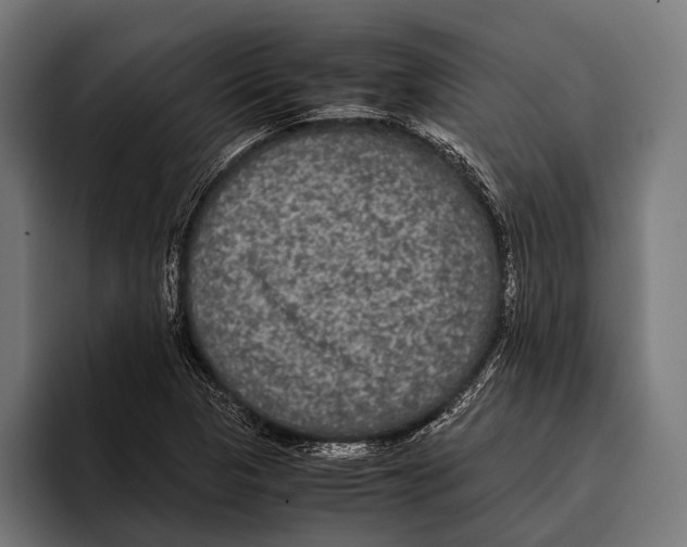 X0000093371313200711081517