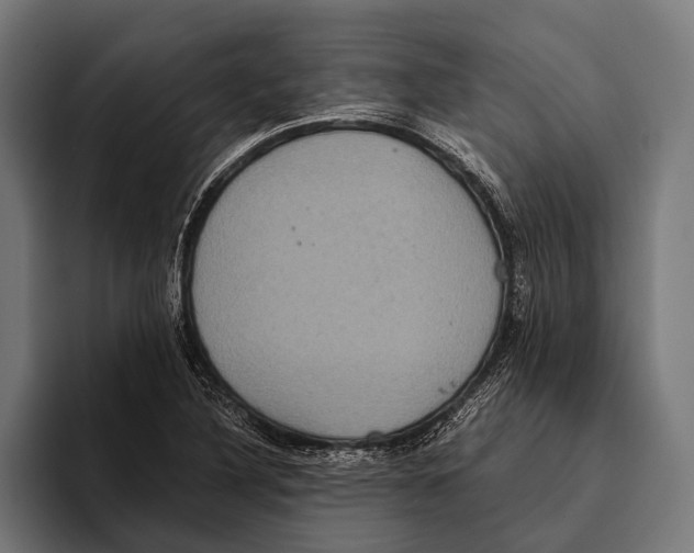 X0000093371316200711081517