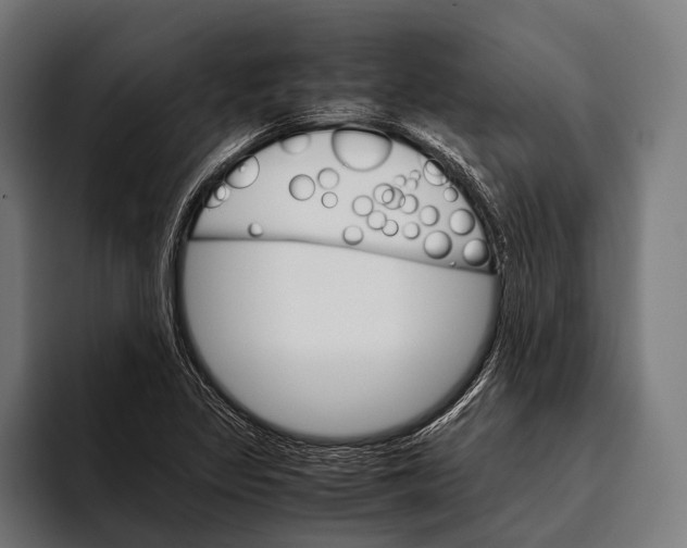 X0000093371317200711081517