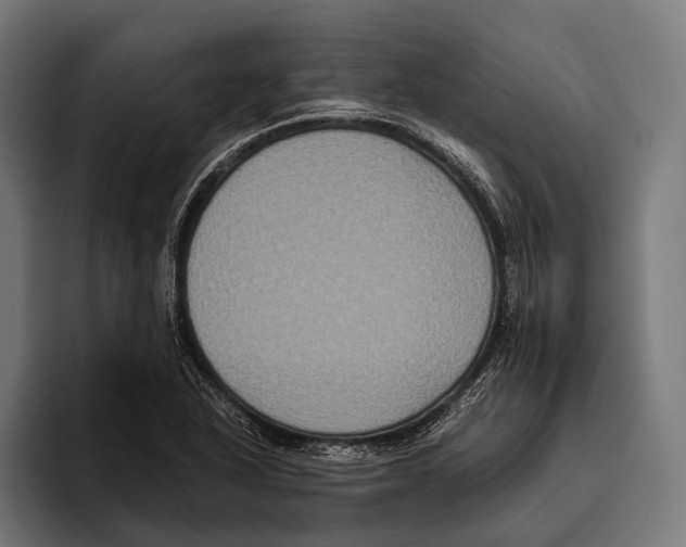 X0000093371318200711081517