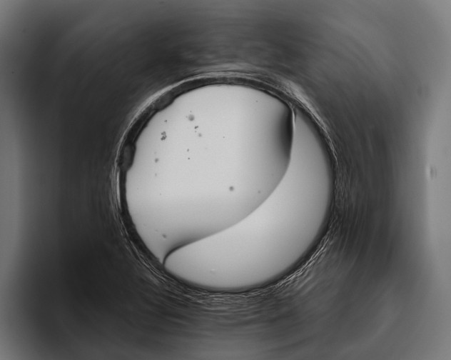 X0000093371320200711081517
