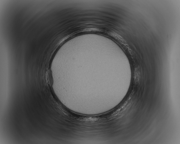 X0000093371321200711081517