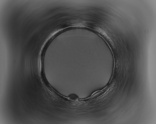 X0000093371323200711081517