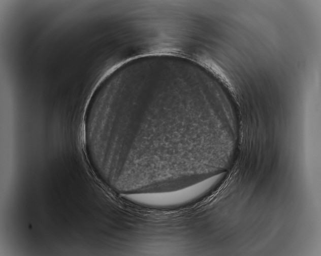 X0000093371324200711081517