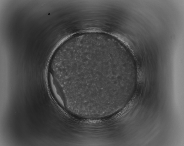 X0000093371325200711081517