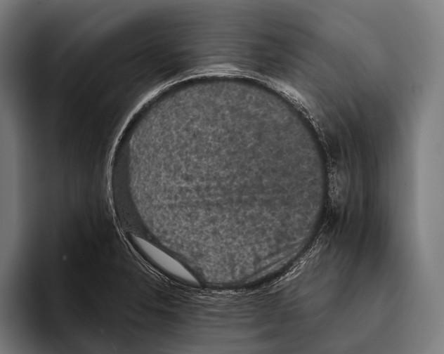 X0000093371326200711081517