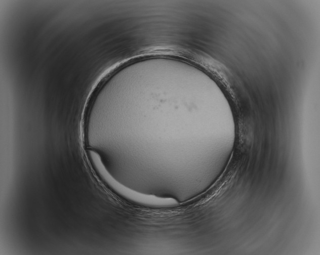 X0000093371328200711081517