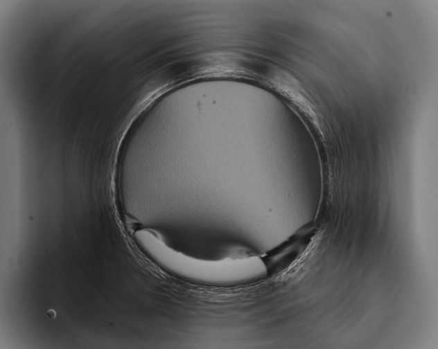 X0000093371330200711081517