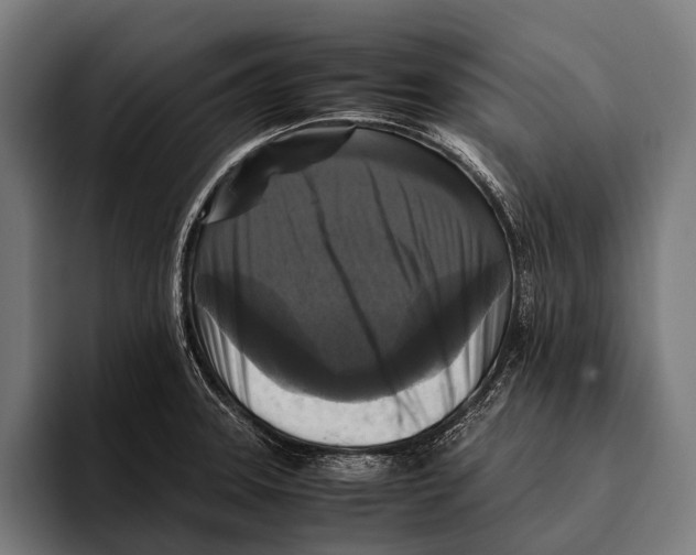 X0000093371331200711081517