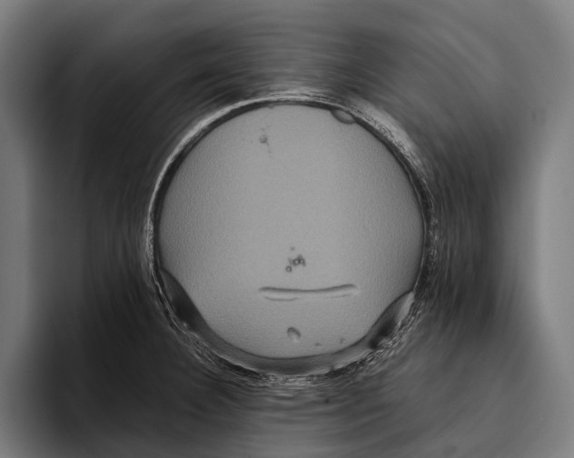 X0000093371332200711081517