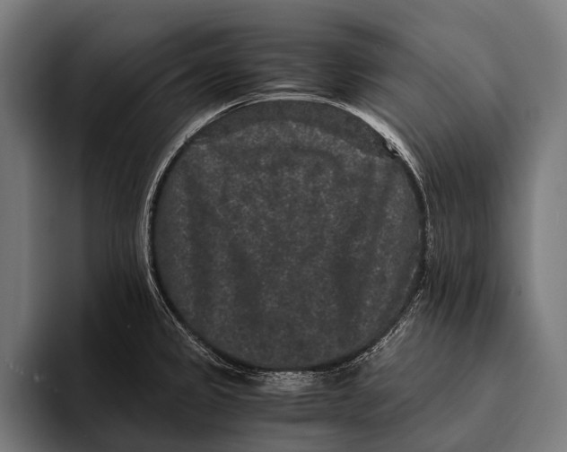 X0000093371333200711081517