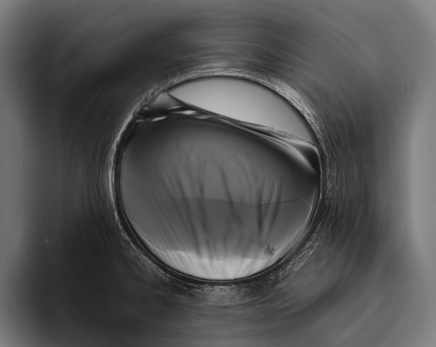 X0000093371334200711081517