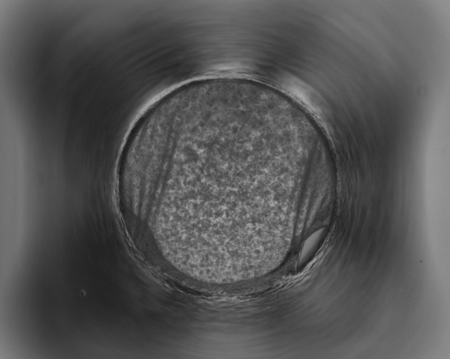 X0000093371336200711081517