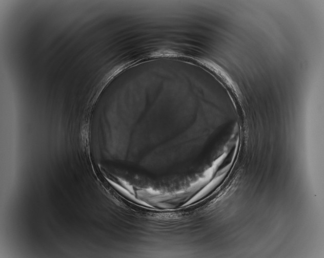 X0000093371337200711081517
