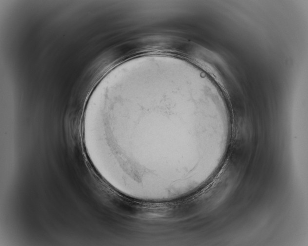 X0000093371338200711081517