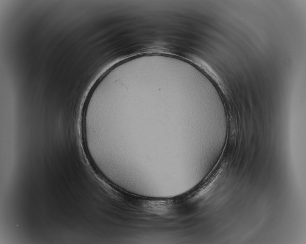 X0000093371339200711081517