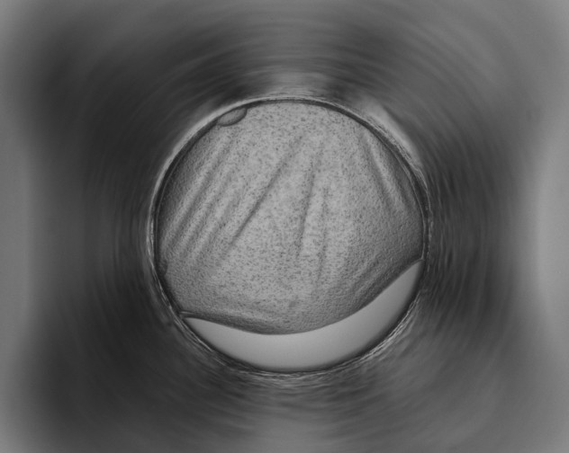 X0000093371340200711081517