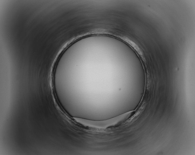 X0000093371342200711081517