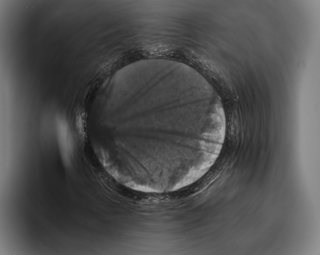 X0000093371346200711081516