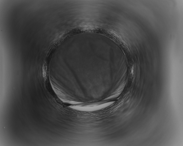 X0000093371348200711081516