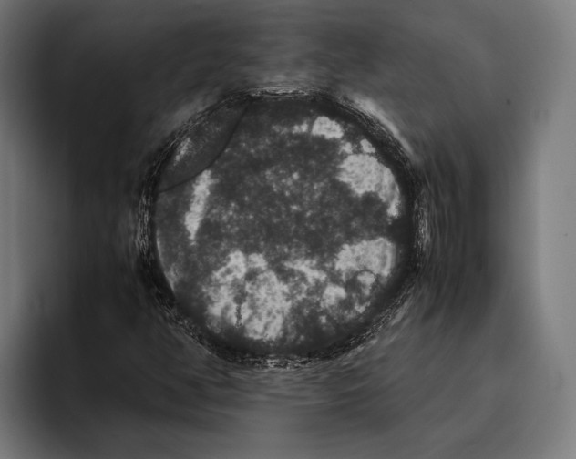 X0000093371350200711081516