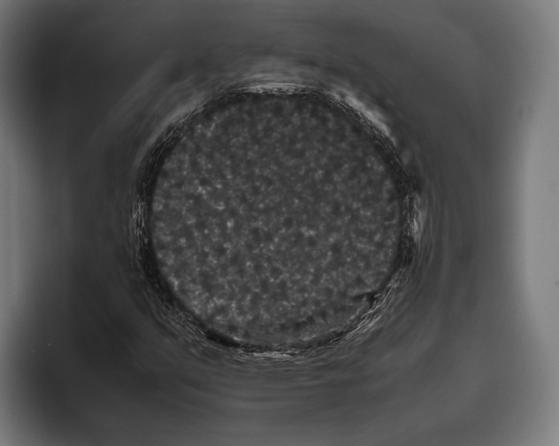 X0000093371351200711081516