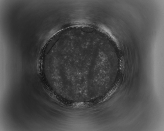 X0000093371352200711081516