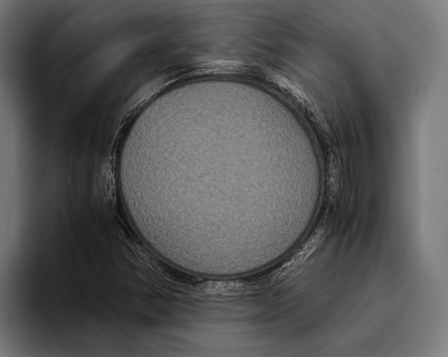 X0000093371354200711081516