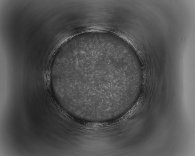 X0000093371355200711081516