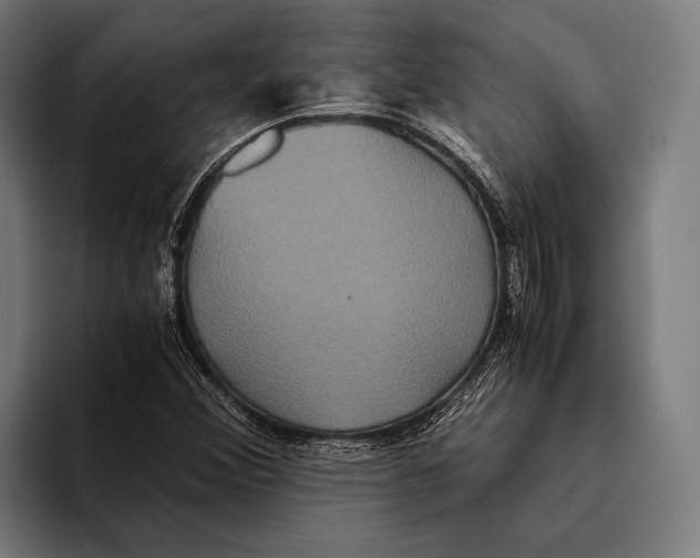 X0000093371356200711081516