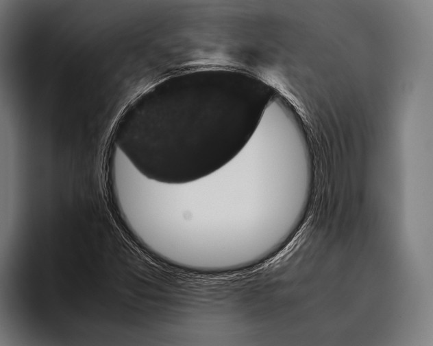 X0000093371357200711081516