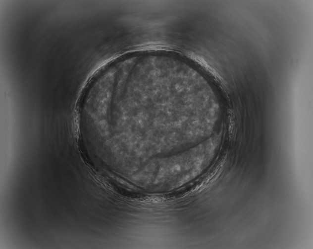 X0000093371358200711081516