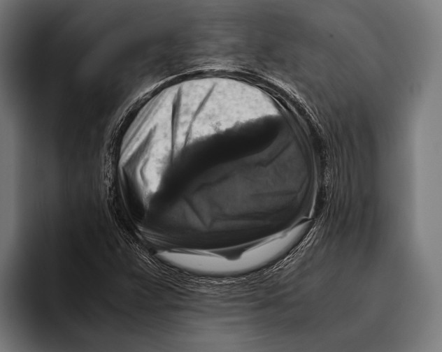 X0000093371359200711081516